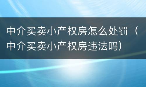 中介买卖小产权房怎么处罚（中介买卖小产权房违法吗）