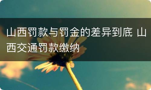 山西罚款与罚金的差异到底 山西交通罚款缴纳