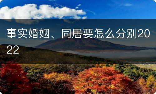 事实婚姻、同居要怎么分别2022