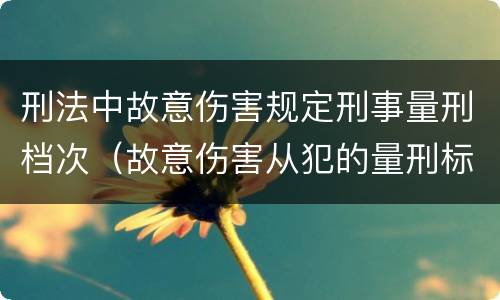 刑法中故意伤害规定刑事量刑档次（故意伤害从犯的量刑标准）