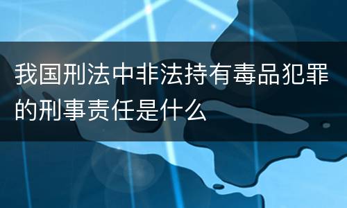 我国刑法中非法持有毒品犯罪的刑事责任是什么