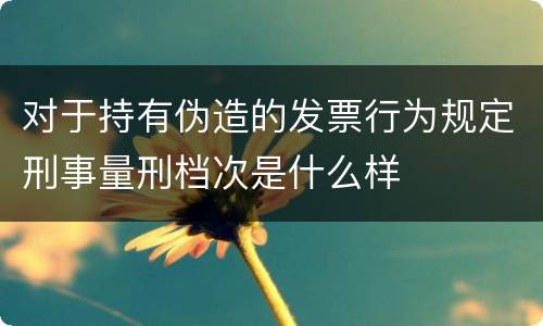 对于持有伪造的发票行为规定刑事量刑档次是什么样