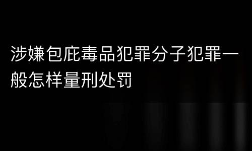 涉嫌包庇毒品犯罪分子犯罪一般怎样量刑处罚