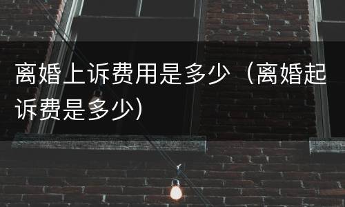 离婚上诉费用是多少（离婚起诉费是多少）
