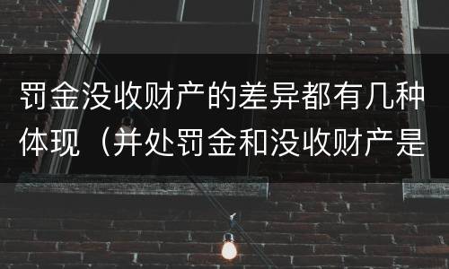 罚金没收财产的差异都有几种体现（并处罚金和没收财产是什么意思）
