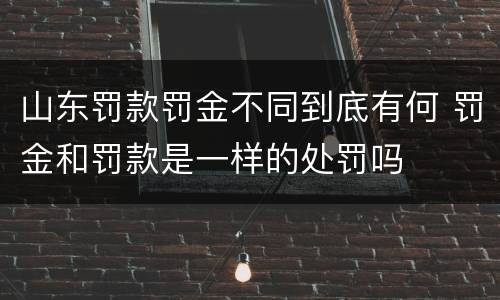 山东罚款罚金不同到底有何 罚金和罚款是一样的处罚吗