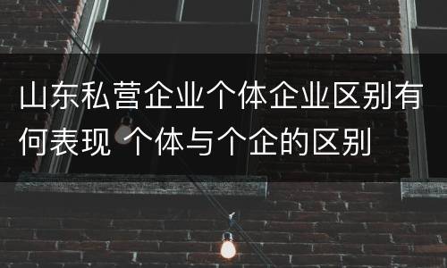 山东私营企业个体企业区别有何表现 个体与个企的区别