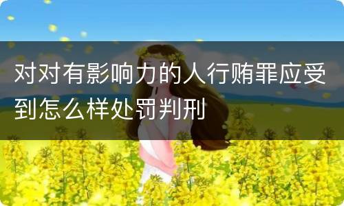 对对有影响力的人行贿罪应受到怎么样处罚判刑