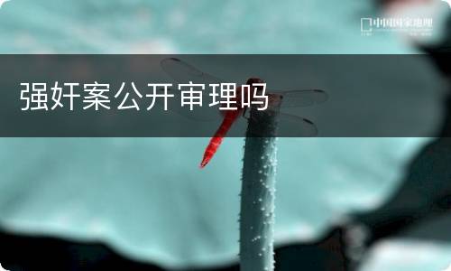 强奸案公开审理吗