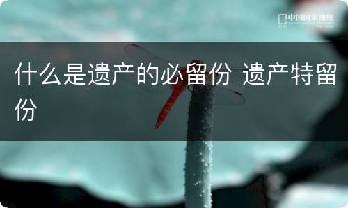什么是遗产的必留份 遗产特留份