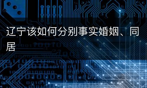 辽宁该如何分别事实婚姻、同居