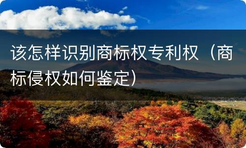 该怎样识别商标权专利权（商标侵权如何鉴定）
