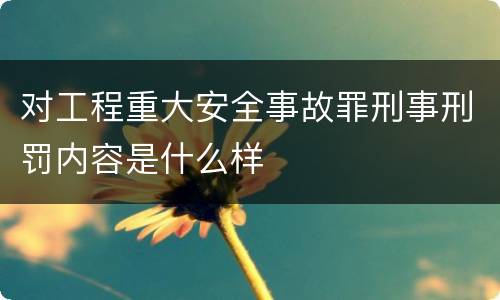 对工程重大安全事故罪刑事刑罚内容是什么样