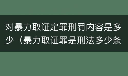 对暴力取证定罪刑罚内容是多少（暴力取证罪是刑法多少条）