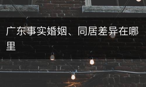 广东事实婚姻、同居差异在哪里