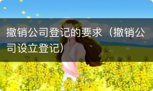 撤销公司登记的要求（撤销公司设立登记）