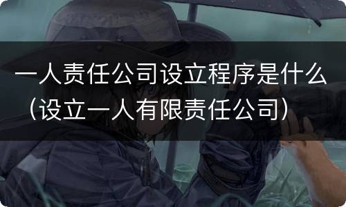 一人责任公司设立程序是什么（设立一人有限责任公司）