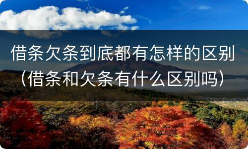 借条欠条到底都有怎样的区别（借条和欠条有什么区别吗）