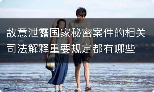 故意泄露国家秘密案件的相关司法解释重要规定都有哪些