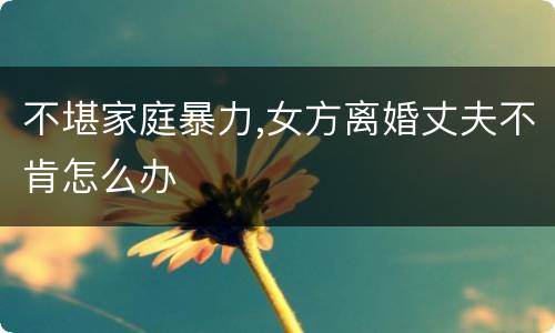 不堪家庭暴力,女方离婚丈夫不肯怎么办