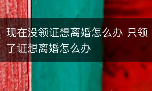 现在没领证想离婚怎么办 只领了证想离婚怎么办