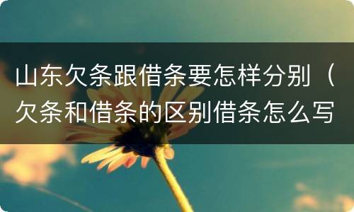 山东欠条跟借条要怎样分别（欠条和借条的区别借条怎么写）