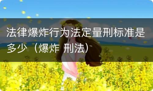 法律爆炸行为法定量刑标准是多少（爆炸 刑法）