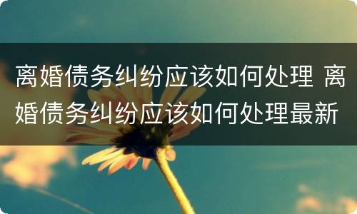离婚债务纠纷应该如何处理 离婚债务纠纷应该如何处理最新规定