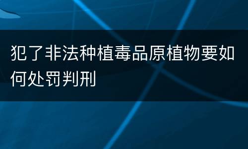 犯了非法种植毒品原植物要如何处罚判刑