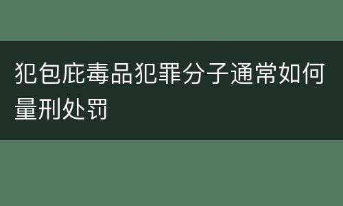 犯包庇毒品犯罪分子通常如何量刑处罚