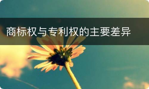商标权与专利权的主要差异