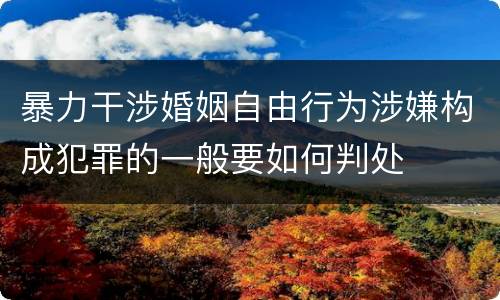 暴力干涉婚姻自由行为涉嫌构成犯罪的一般要如何判处