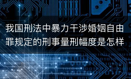 我国刑法中暴力干涉婚姻自由罪规定的刑事量刑幅度是怎样的