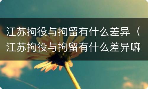 江苏拘役与拘留有什么差异（江苏拘役与拘留有什么差异嘛）