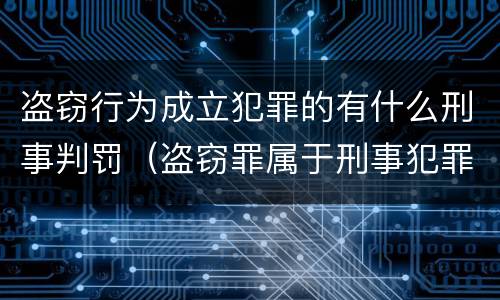 盗窃行为成立犯罪的有什么刑事判罚（盗窃罪属于刑事犯罪）