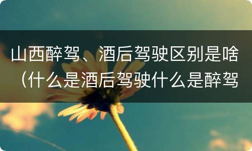 山西醉驾、酒后驾驶区别是啥（什么是酒后驾驶什么是醉驾）