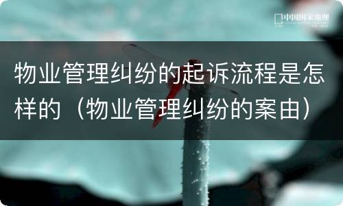 物业管理纠纷的起诉流程是怎样的（物业管理纠纷的案由）
