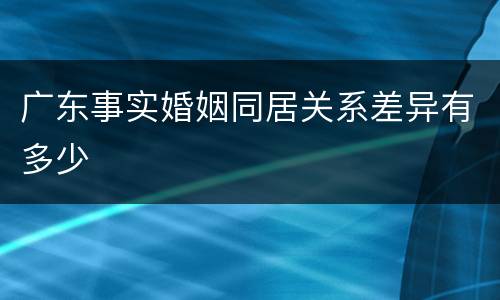 广东事实婚姻同居关系差异有多少