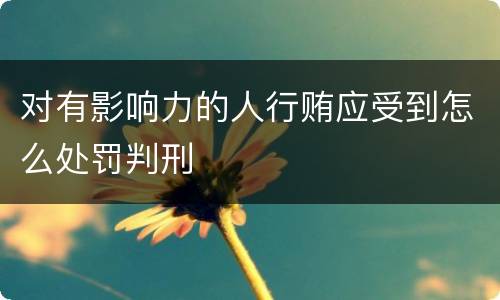 对有影响力的人行贿应受到怎么处罚判刑
