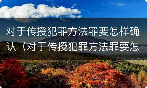 对于传授犯罪方法罪要怎样确认（对于传授犯罪方法罪要怎样确认罪名）