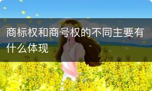 商标权和商号权的不同主要有什么体现