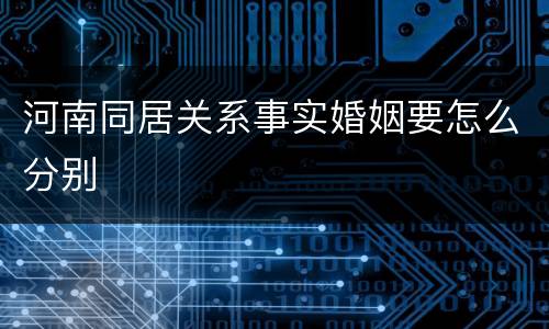 河南同居关系事实婚姻要怎么分别