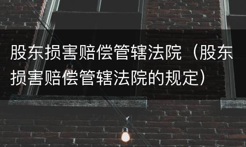 股东损害赔偿管辖法院（股东损害赔偿管辖法院的规定）
