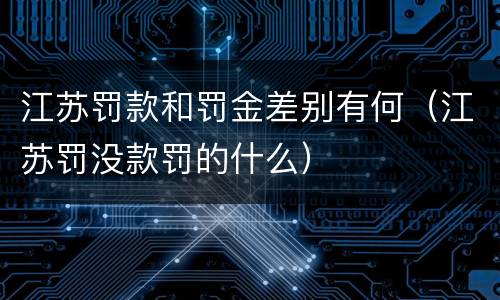 江苏罚款和罚金差别有何（江苏罚没款罚的什么）