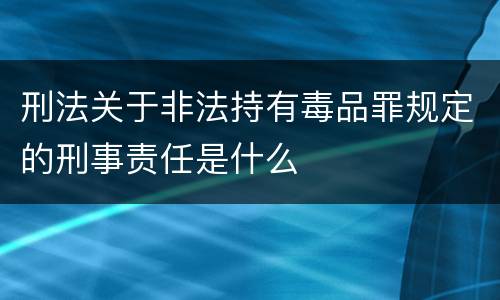 刑法关于非法持有毒品罪规定的刑事责任是什么