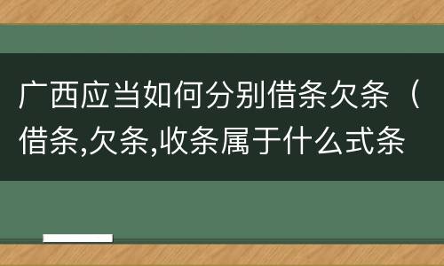 广西应当如何分别借条欠条（借条,欠条,收条属于什么式条据）