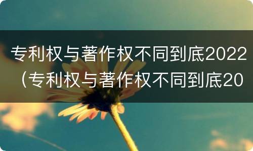 专利权与著作权不同到底2022（专利权与著作权不同到底2022年还有吗）