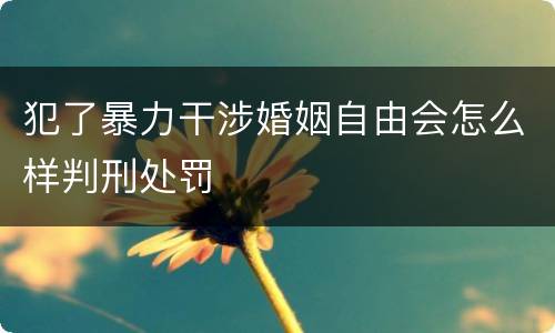 犯了暴力干涉婚姻自由会怎么样判刑处罚