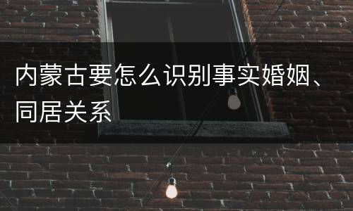 内蒙古要怎么识别事实婚姻、同居关系