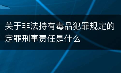 关于非法持有毒品犯罪规定的定罪刑事责任是什么